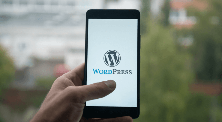 WordPress Customization