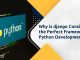 Python development