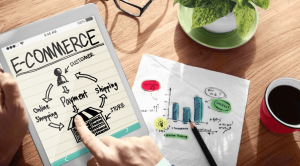 Experience of eGrove Systems in C2C eCommerce: A New Trend of eCommerce