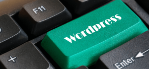 WordPress Secured Payment Process through Paypal Gateway