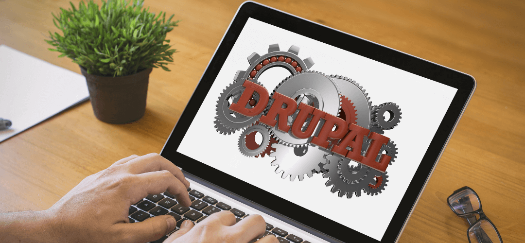 Paypal Payment checkout in Drupal Ubercart eCommerce