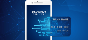 Drupal Payment Module to process Secured Checkout in Online