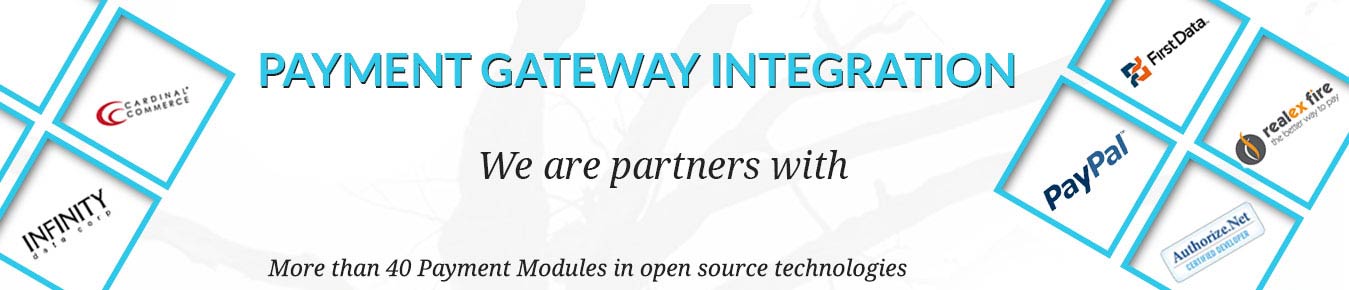 Authorize.net Payment Gateway Integration