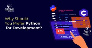 Why Should You Prefer Python for Development?
