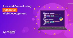 Pros and Cons of using Python for Web Development