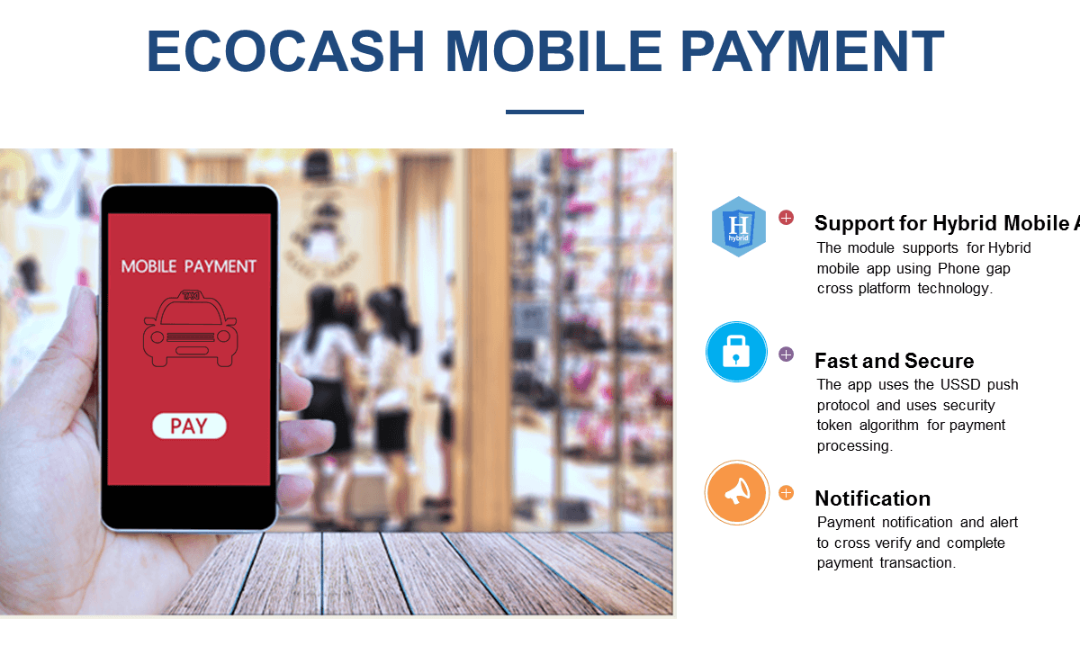 ecocash taxi