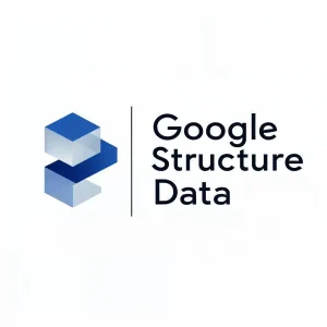 Google Structure Data