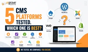 We Tried 5 Content Management Systems. Which One Is Best?